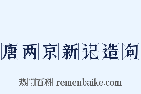 唐两京新记造句是什么意思的图片